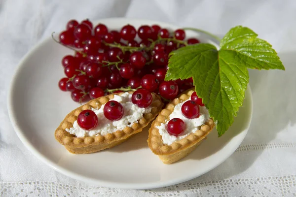Delicious Tartlets Fresh Red Currant Whipped Cream — Stock Photo, Image
