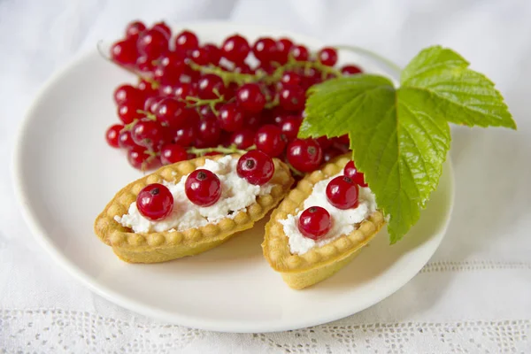 Tartlets of fresh red currant with whipped cream — Stock Photo, Image