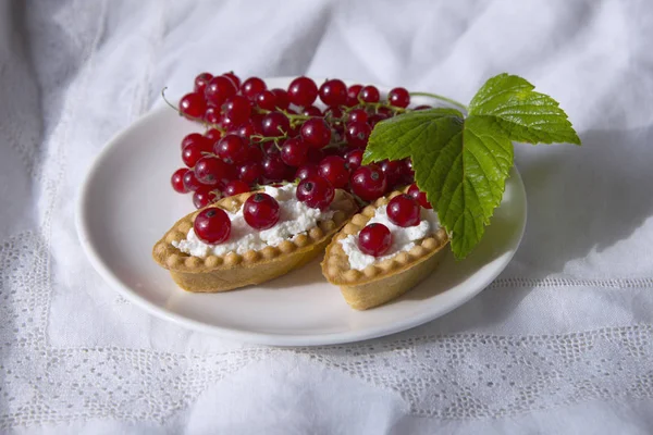 Tartlets of fresh red currant — Stock Photo, Image