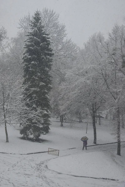 Zimowy Dzień Parku Miejskim — Zdjęcie stockowe