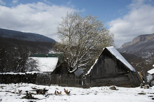 Vesnice v horách. Kavkaz, Rusko — Stock fotografie