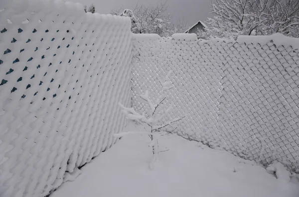 Забор Проволоки Покрыт Снегом — стоковое фото