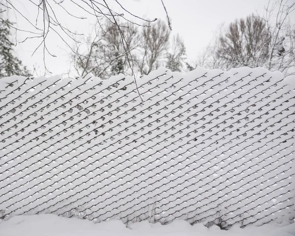 Ogrodzenie Siatka Druciana Pokryte Śniegiem Selektywny Fokus — Zdjęcie stockowe