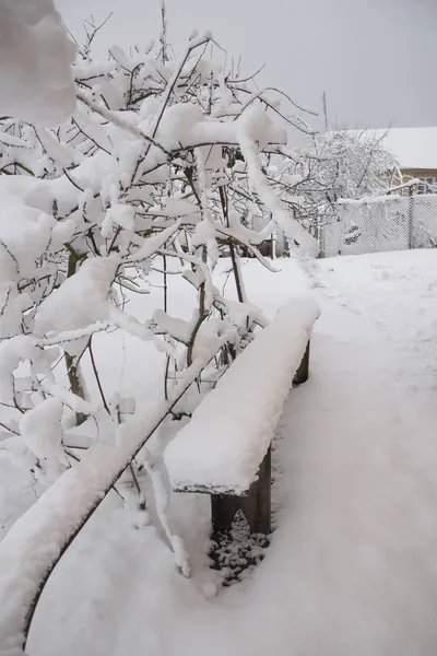 Zimowej Scenerii Ukraińskiej Wsi — Zdjęcie stockowe