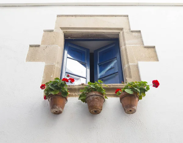 Window with flowers pot in the Sitges, Spain