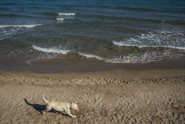 Akdeniz manzaralı, Sitges kıyı