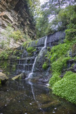 Dağda küçük şelale orman Köyü Ripit ben Prui