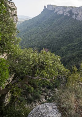 İspanyol pyrenees, Catalonia sonbahar manzara