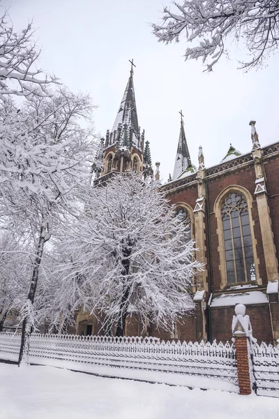 Kyrkan av Sts. Olha och Elizabeth. Lviv city — Stockfoto