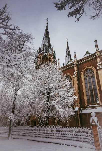 Katolska kyrkan av Sts. Olha och Elizabeth. Staden Lviv, Ukraina — Stockfoto