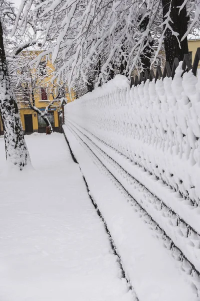 Zimowego Lwowa Ukraina — Zdjęcie stockowe