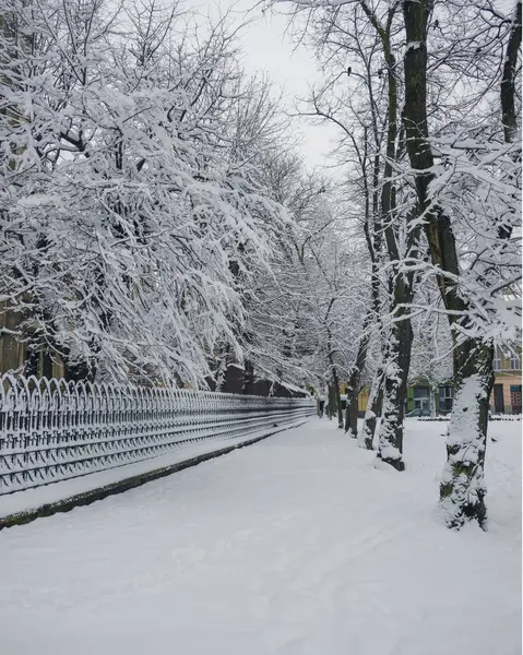Ziua de iarnă în orașul Lviv, Ucraina — Fotografie, imagine de stoc