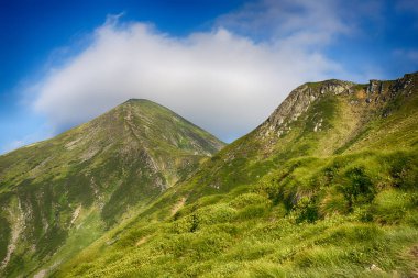 Ukrayna Karpatlar 'ında yaz manzarası