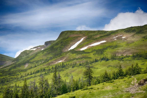 Paisaje de verano en las montañas Cárpatas —  Fotos de Stock