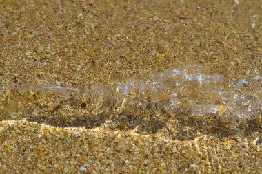 Deniz dibi ve berrak şeffaf deniz suyu