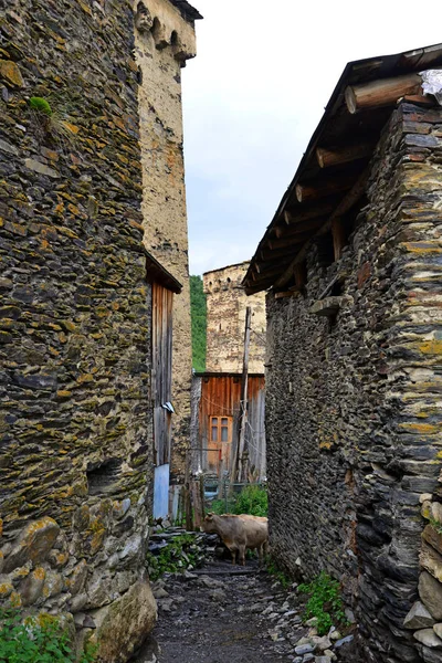 Smalle Straatjes Van Ushguli Svaneti — Stockfoto