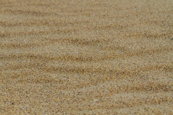 Песчаный Пляж Фон — стоковое фото