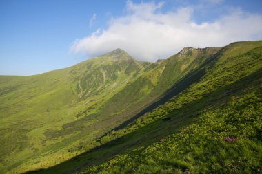 Mount Hoverla görünüm