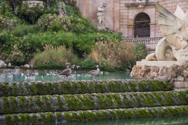 Parc de la Ciutadella Çeşmede. Kale park, Barcelona