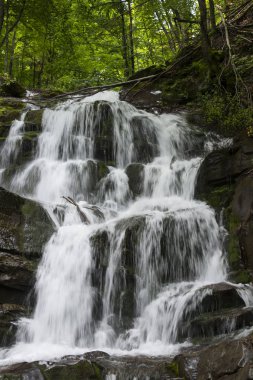 Büyük şelale Shypit Karpat Dağları'nda
