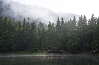 Synevyr Dağı Gölü. Karpatlar Dağları, Ukrayna