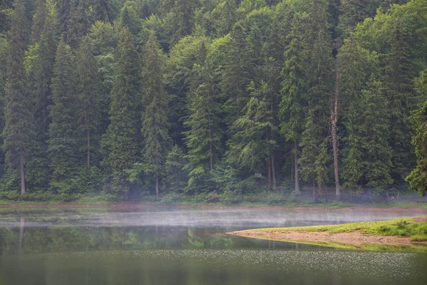 Jezioro Synewyr Karpatach Ukraina — Zdjęcie stockowe