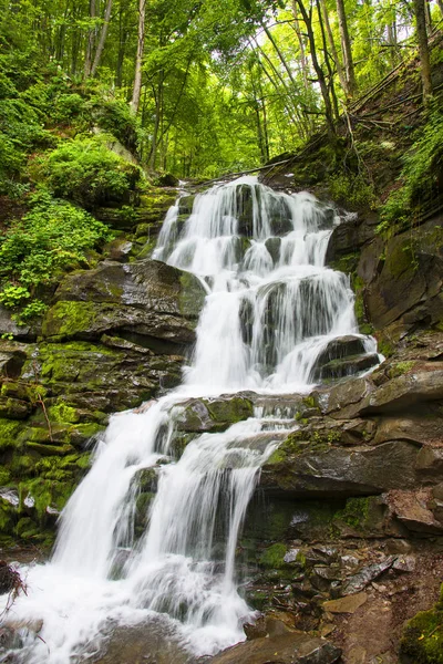 Büyük şelale Shypit Karpat Dağları'nda