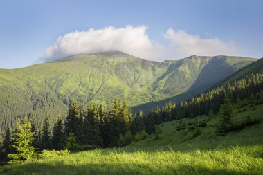 Karpat dağlarda yaz peyzaj. Mount Hoverla görünüm