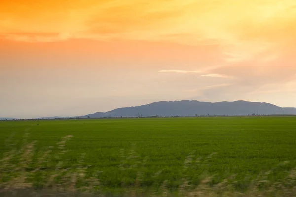 Ebro Delta Φυσικό Πάρκο Καταλονία — Φωτογραφία Αρχείου