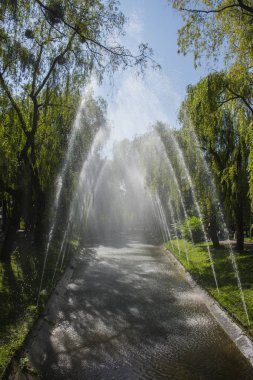 Parktaki çeşme