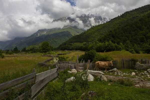 Village géorgien typique. Upper Svaneti, Géorgie . — Photo