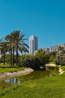 Valencia 'da yaz günü