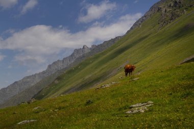 Dağ manzarası, Kafkas, Gürcistan