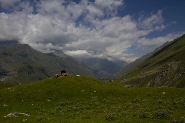 Výhled na hory, Kavkaz, Gruzie — Stock fotografie