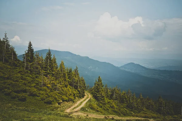 Carpathian mountains — Stock Photo, Image