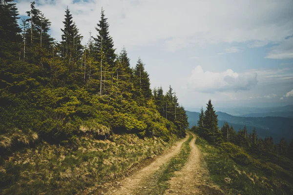 Carpathian mountains — Stock Photo, Image