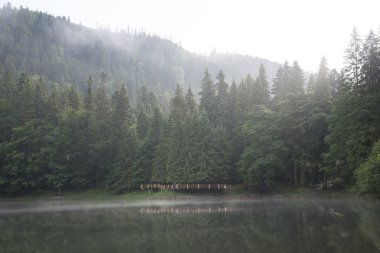 Dağ gölünde sisli bir sabah