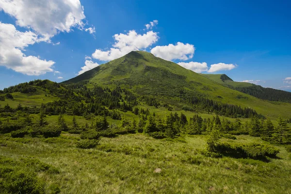Karpatská horská krajina v létě — Stock fotografie