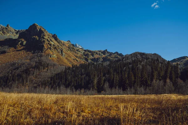 Automne dans les montagnes, Caucase — Photo