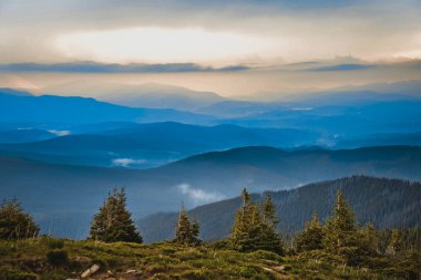 Yazın Karpat Dağları manzarası