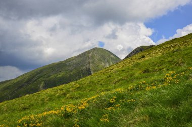 Yazın Karpat Dağları manzarası