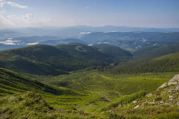 Krajobraz Karpat w lecie — Zdjęcie stockowe