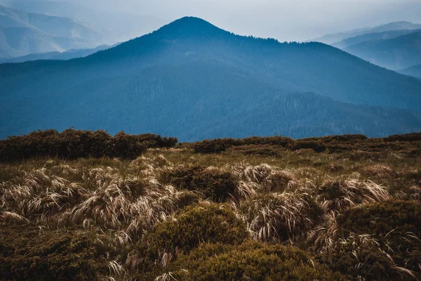 Carpathian mountains landscape — Stock Photo, Image