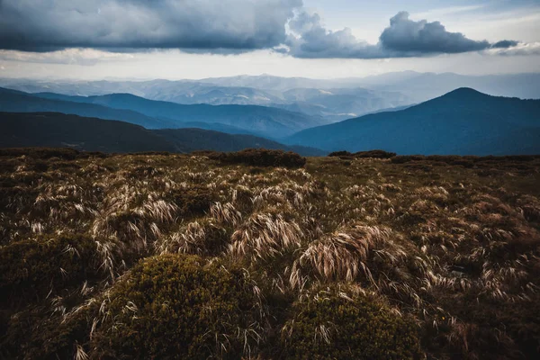 Carpathian mountains landscape — Stock Photo, Image