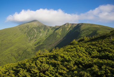 Karpat Dağları manzarası