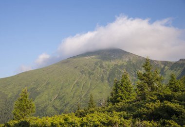 Hoverla Dağı Görünümü
