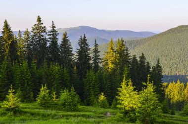 Karpat Dağları manzarası