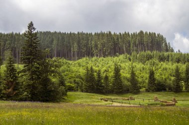 Karpat Dağları manzarası