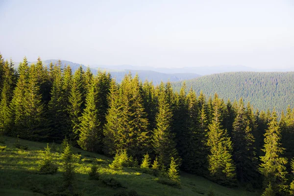 Карпатські гори краєвид — стокове фото