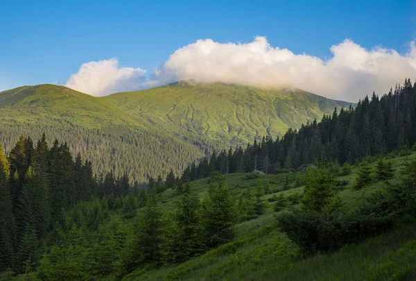 Veduta del Monte Hoverla — Foto Stock